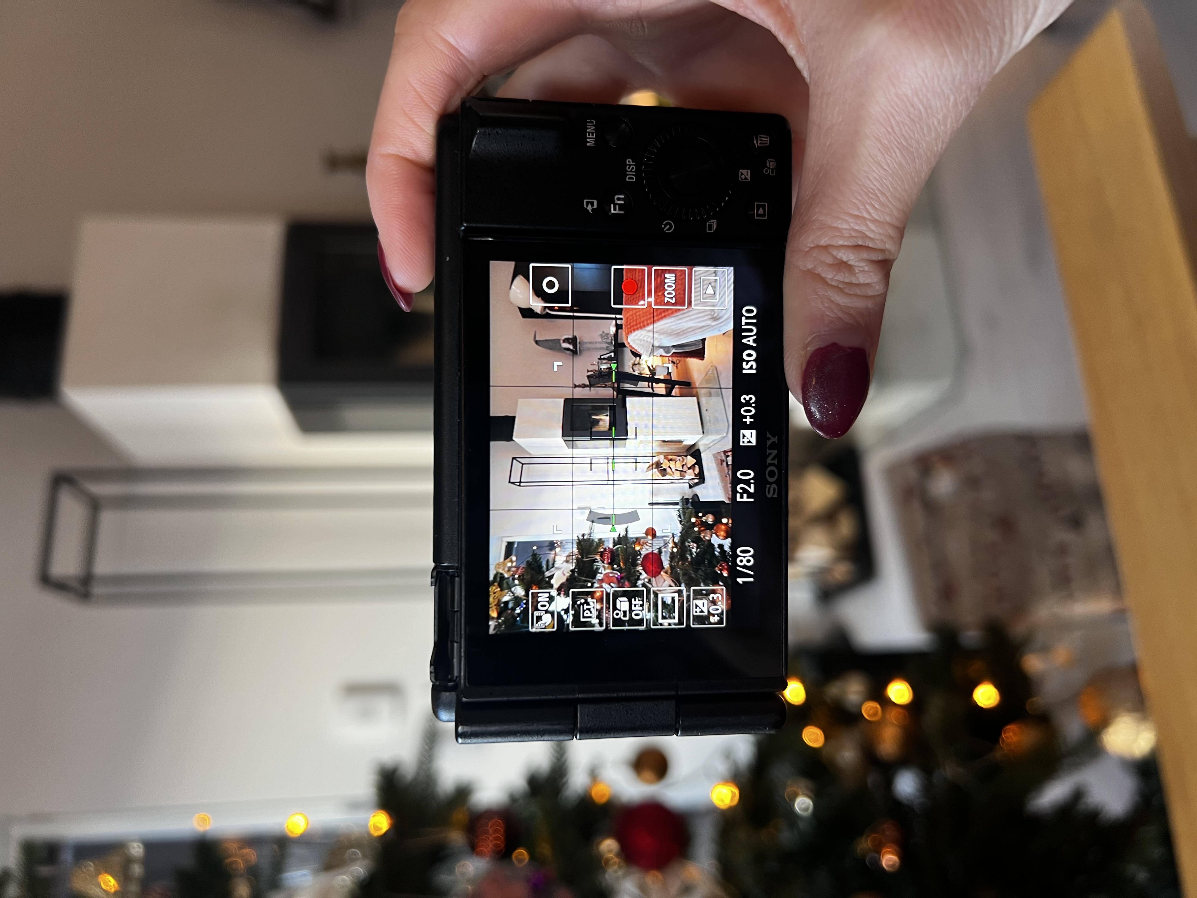 Vlogging camera - sony zv-1f 