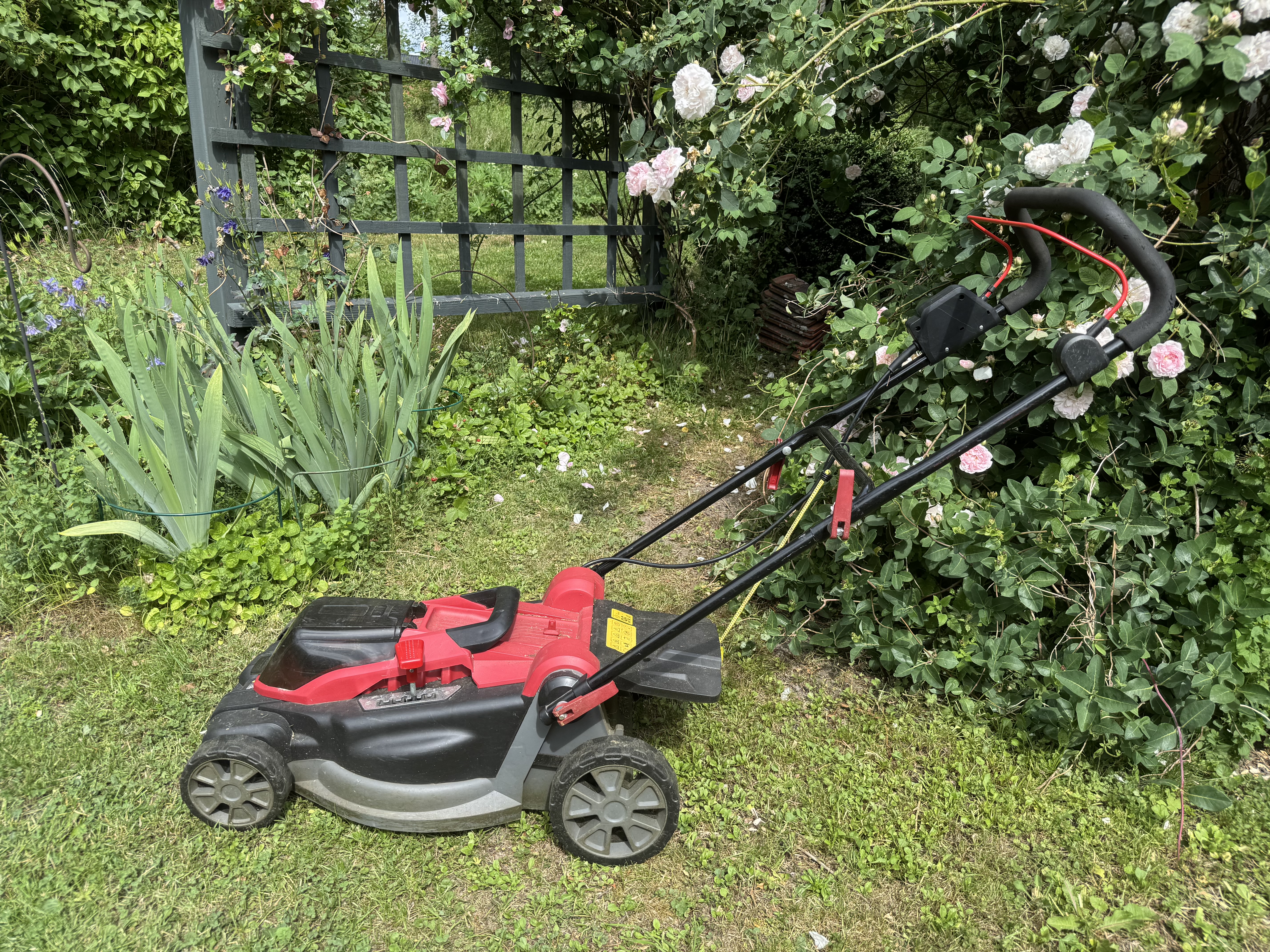 Gräsklippare batteridriven