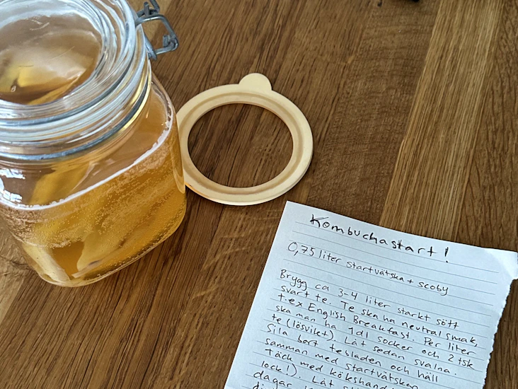 Kombuchastarter och scoby