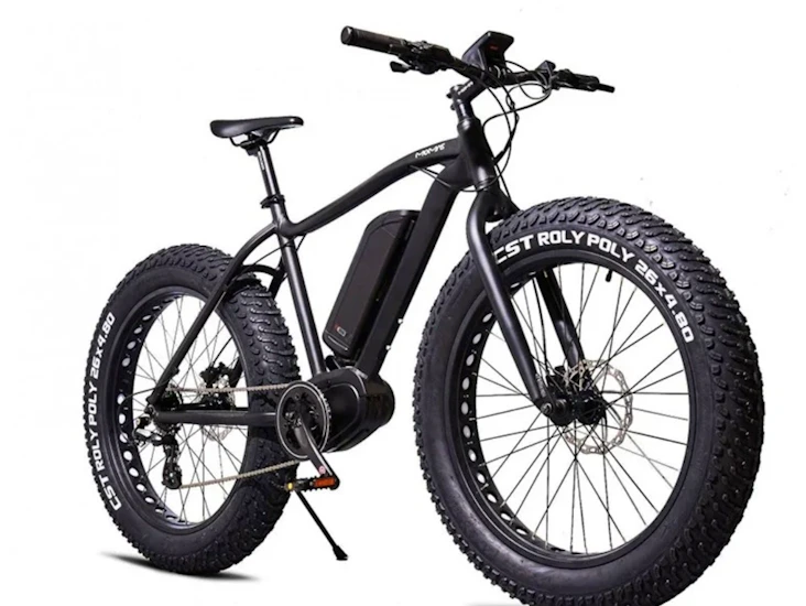 Fat bike