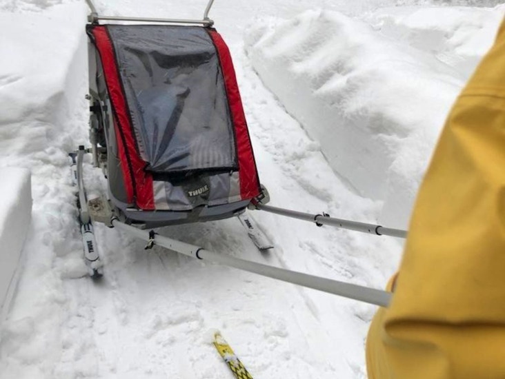 Thule chariot cougar 2 pyöräkärry