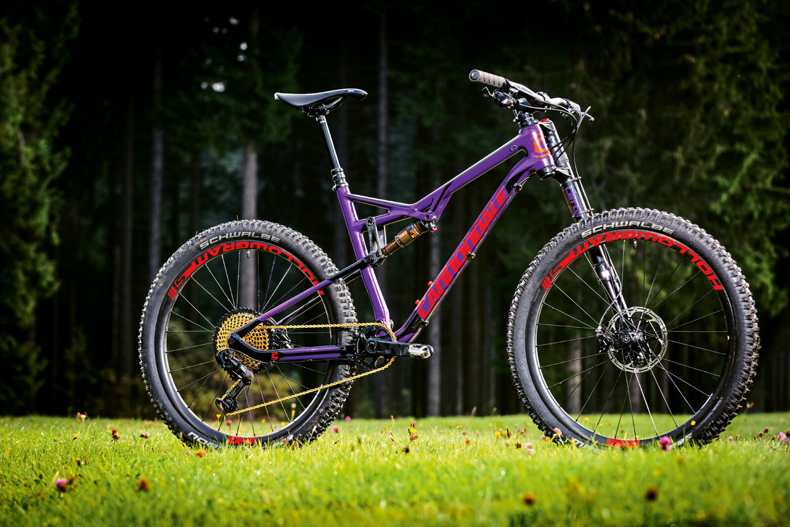 Cannondale habit carbon se