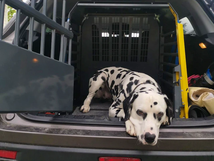 Variocage single xl bilbur/hundebur