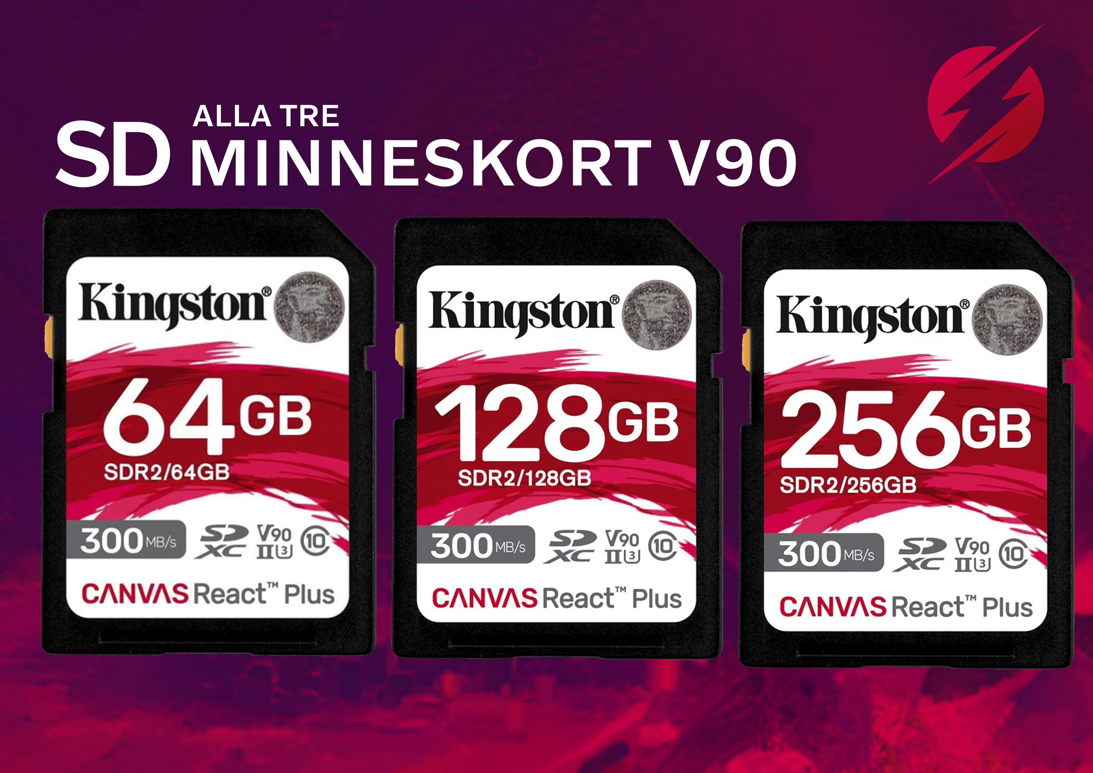 Snabbaste sd minneskorten v90: 256gb + 128gb + 64gb