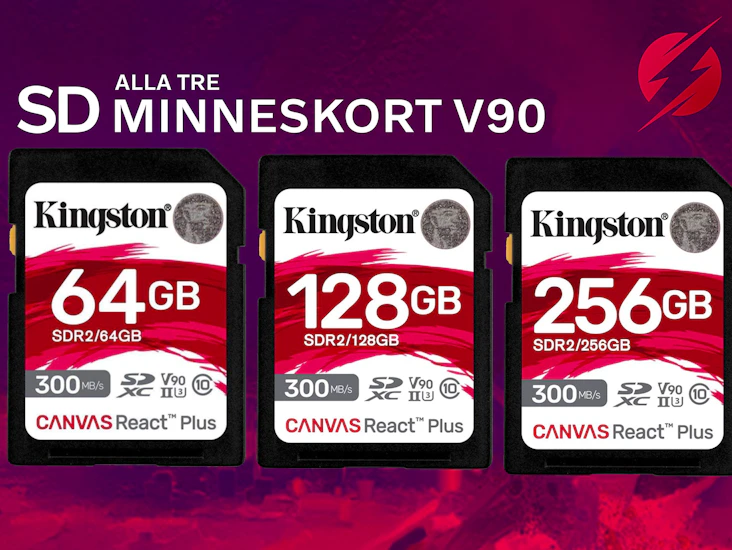 Snabbaste sd minneskorten v90: 256gb + 128gb + 64gb