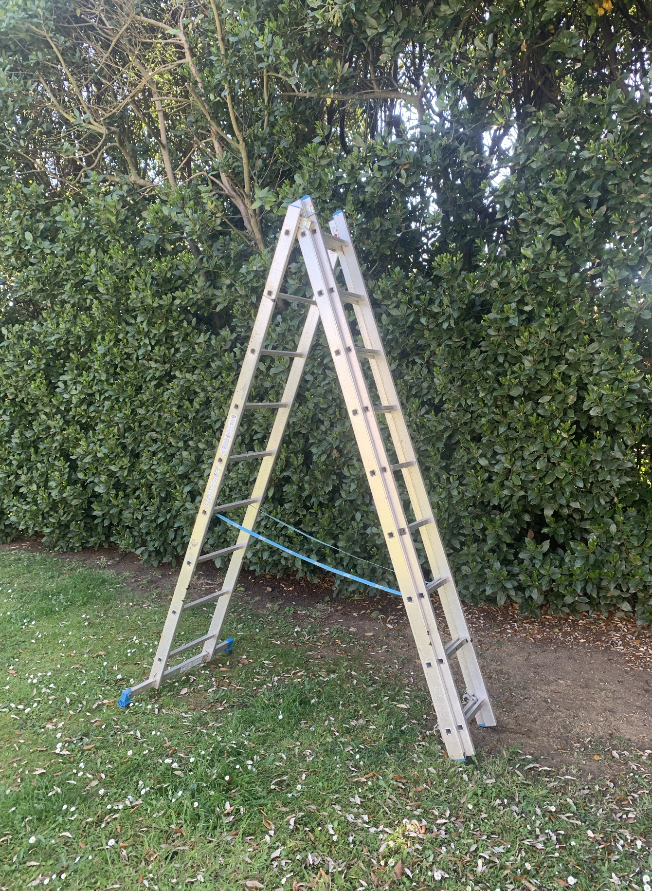 3x9 combination ladder