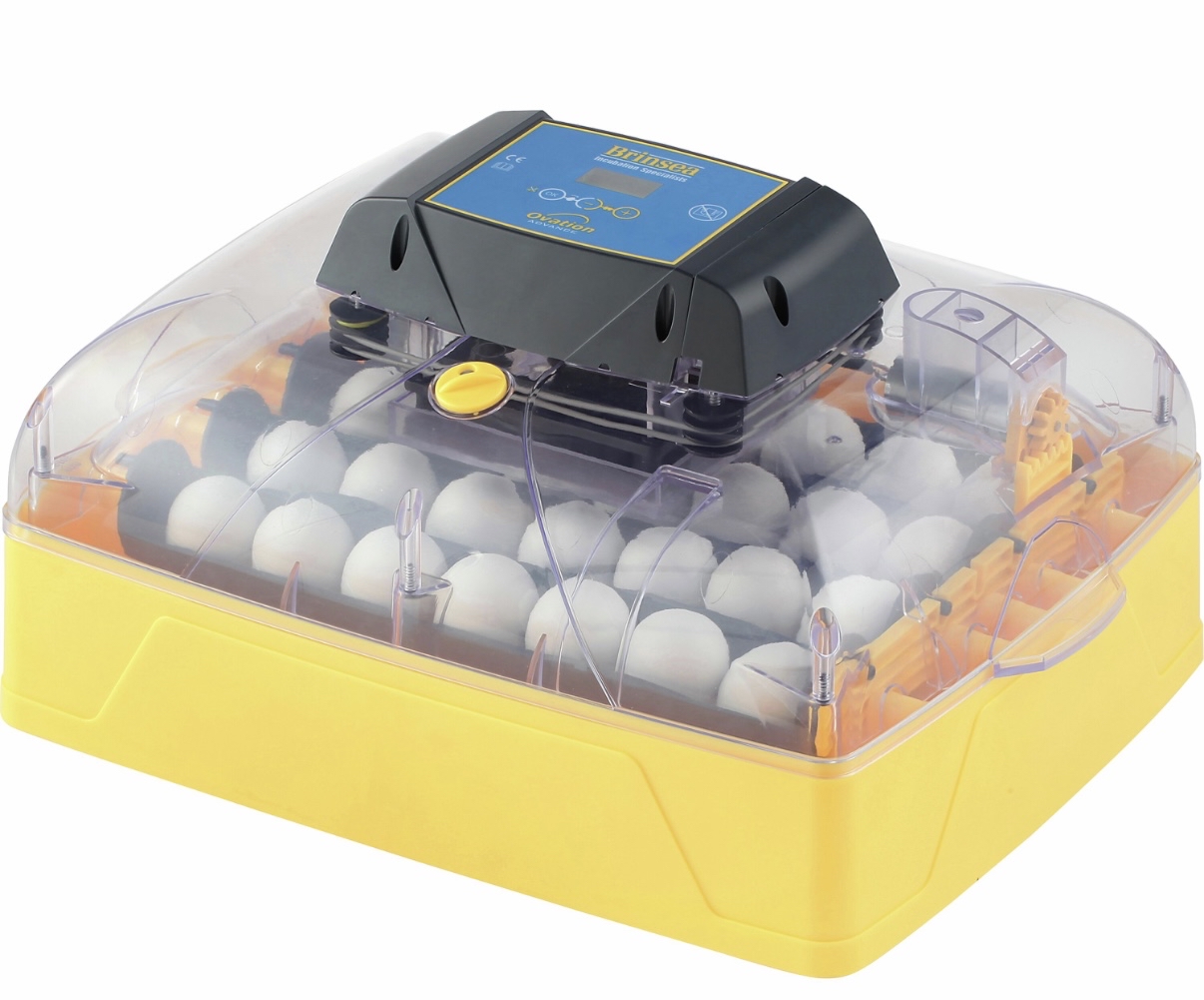 Brinsea ovation 28 advanced