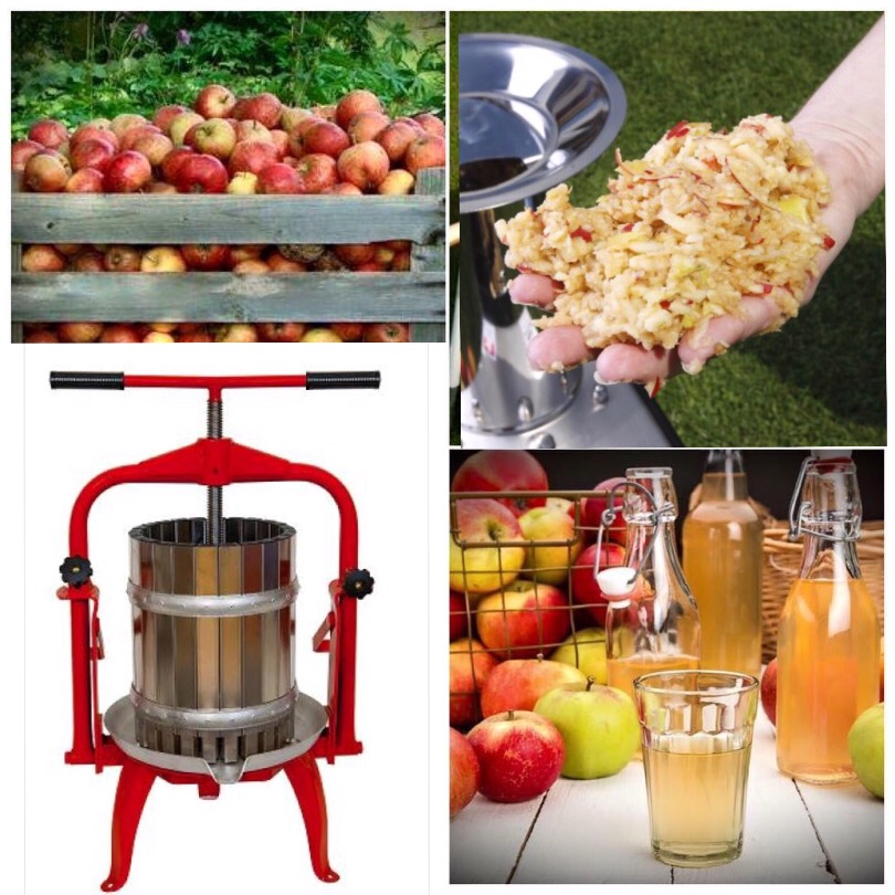 Musta dina egna äpplen. äppelpress och kross.