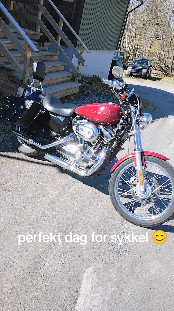 Harley davidson sportser 1200 xl 2006