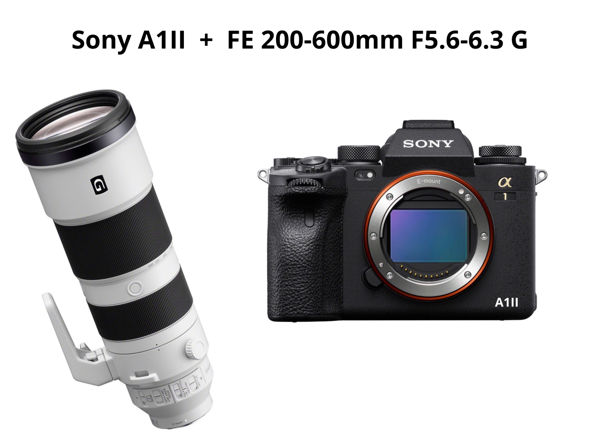 Sony a1 ii + fe 200-600 mm f5.6-6.3 gm 