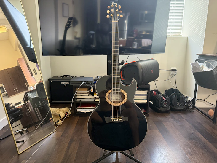 Ibanez ep5bp steve vai signature euphoria – premium acoustic-electric guitar for rent (jersey city)