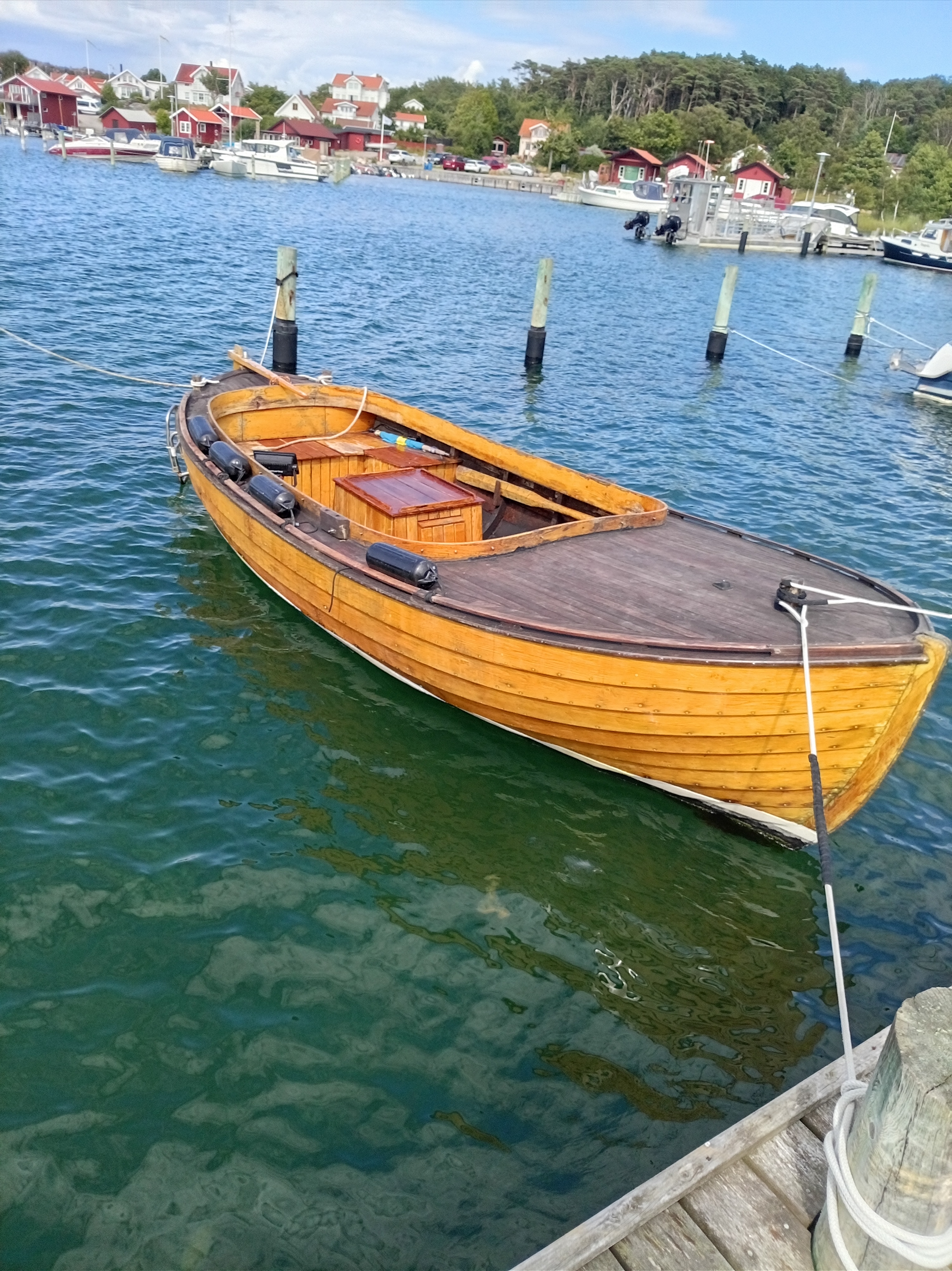 Träsnipa med inombordare klassiker
