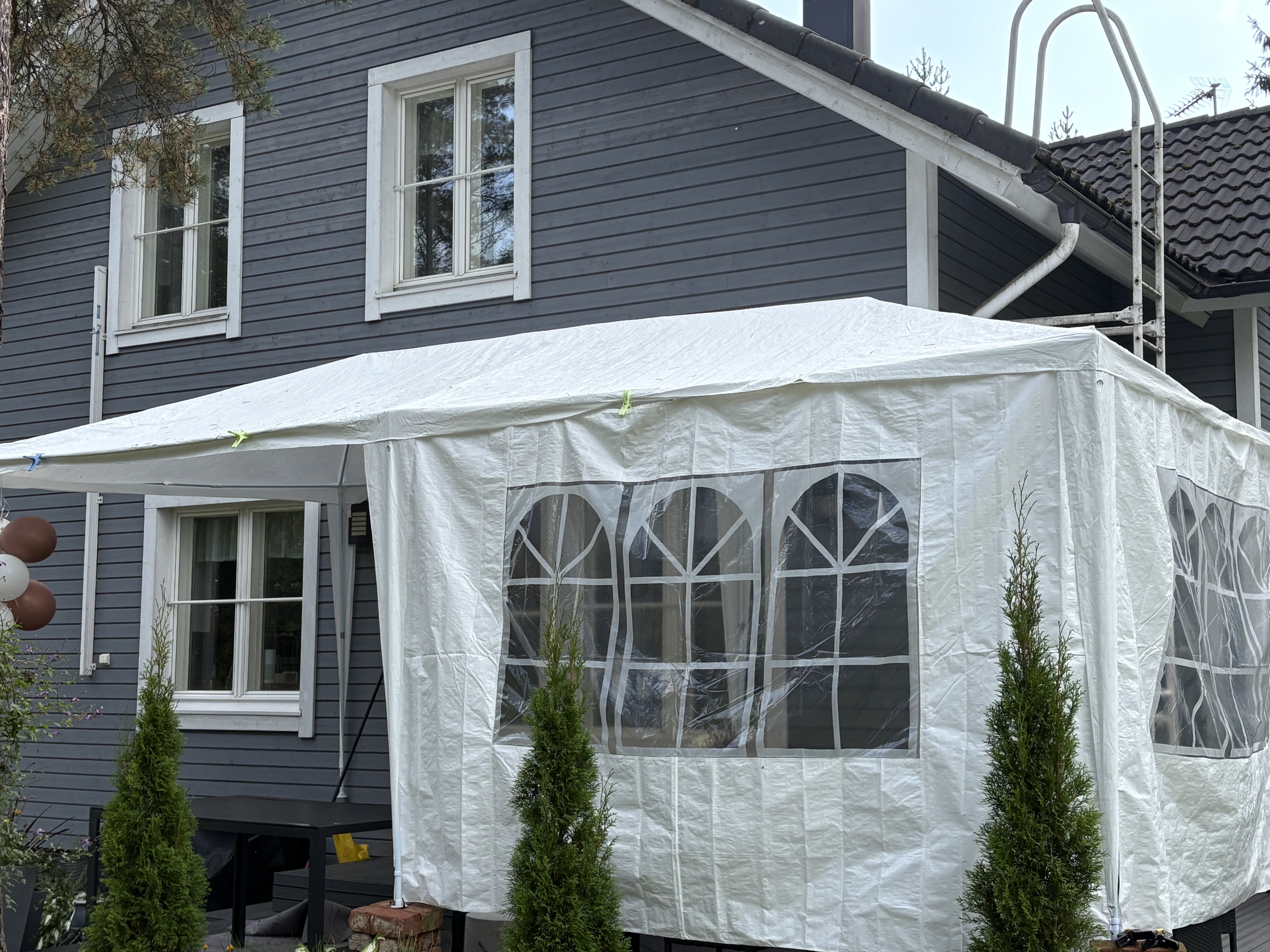 Valkoinen juhlateltta 3x6m