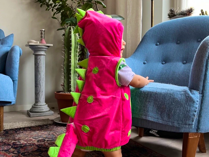 Dinosauriedräkt 6-12 månader