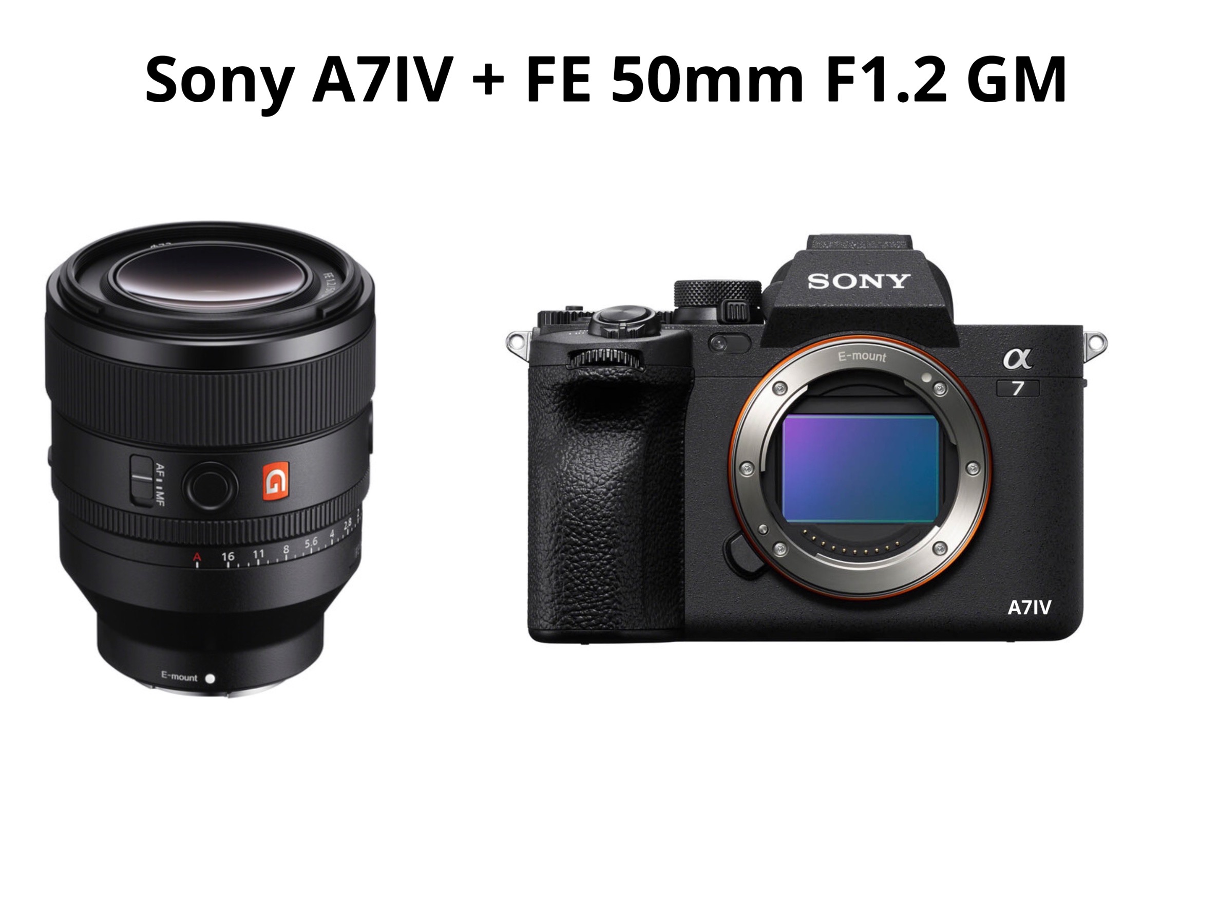 Sony a7iv + 50mm f1.2 gm