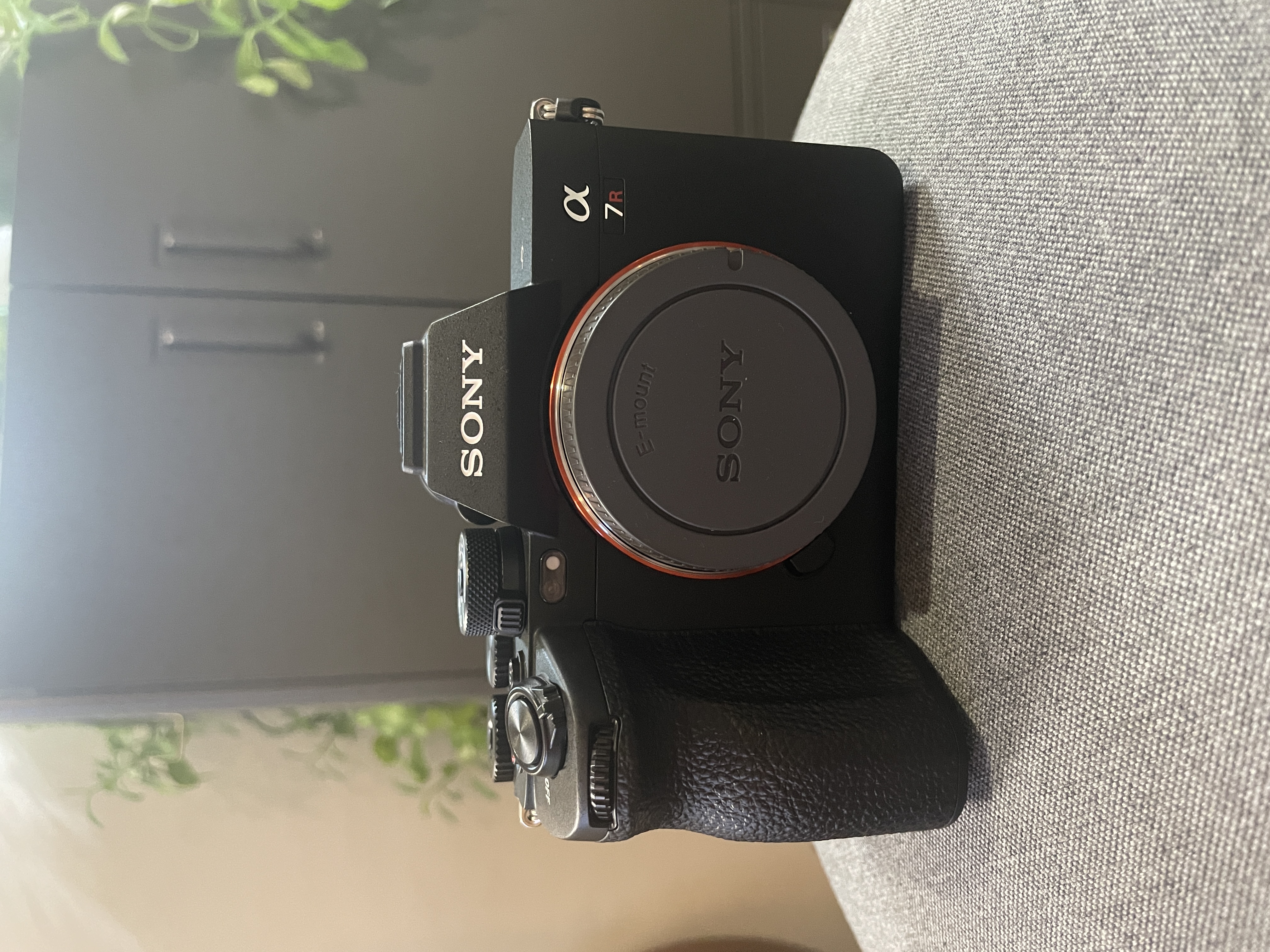 Sony a7rv