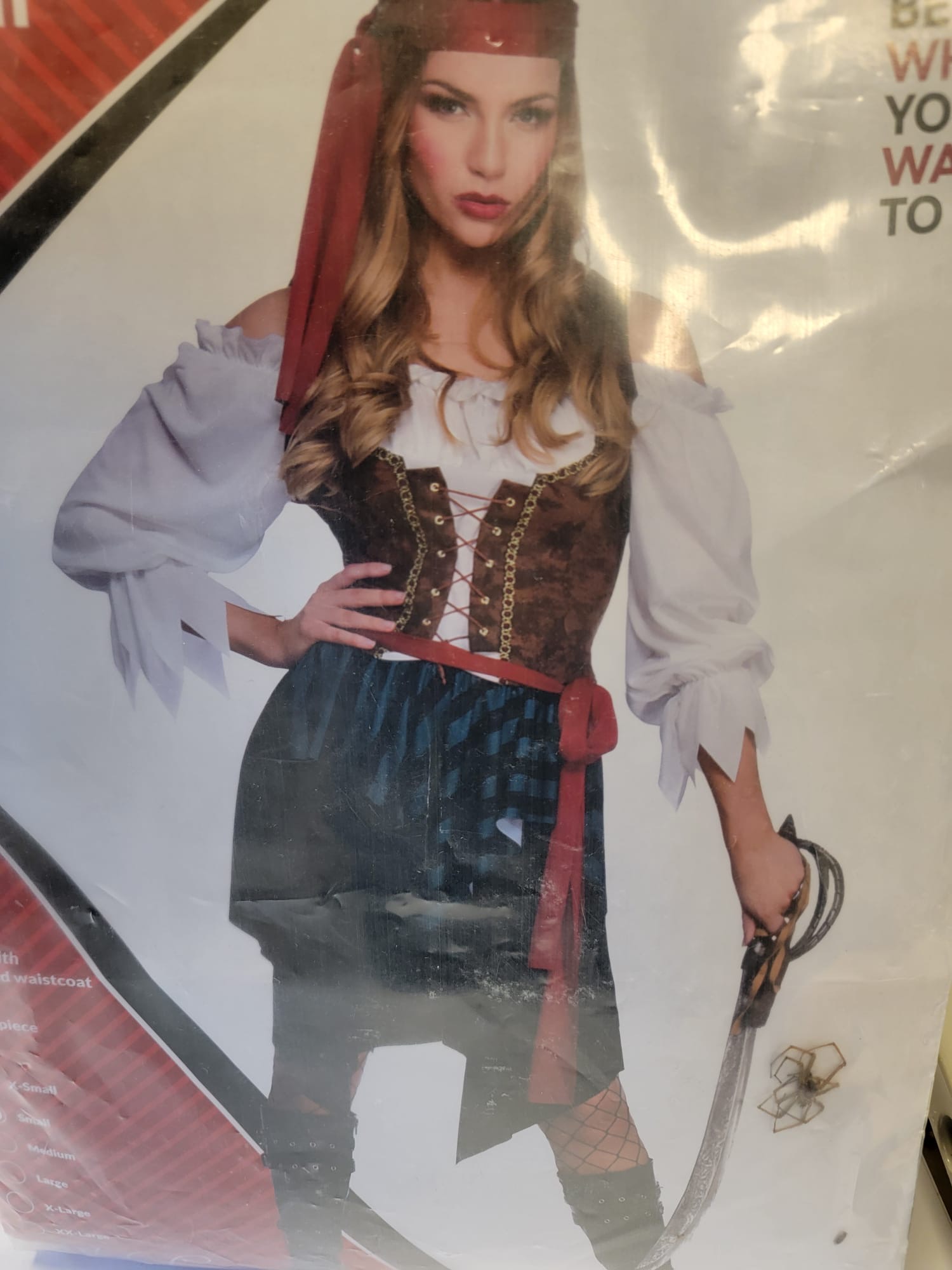 Female pirate costume