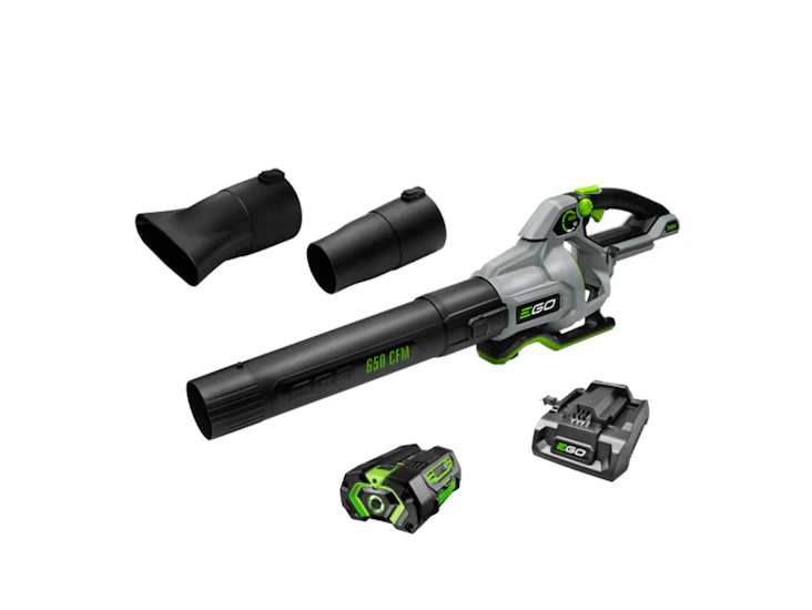 ego power+ lb6504 180 mph 650 cfm 56 v battery handheld leaf blower kit (battery & charger)