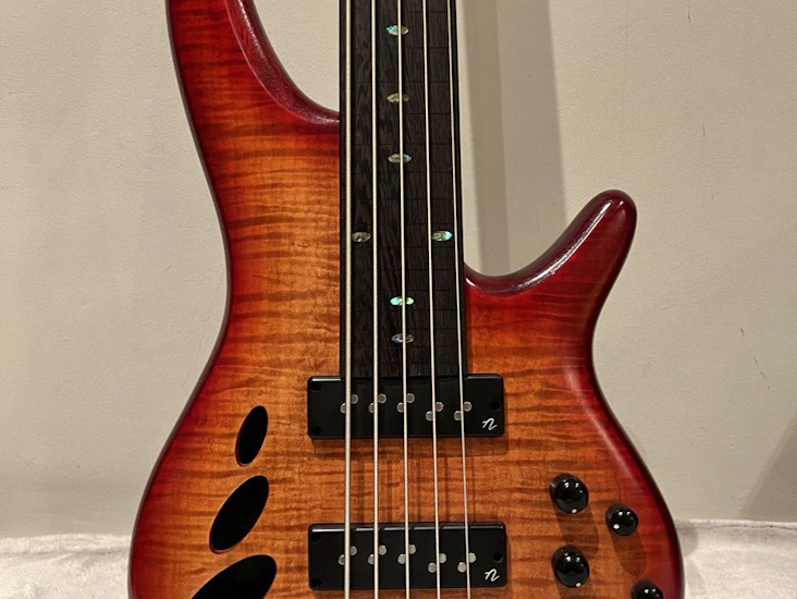 Ibanez 5 strings bass srd905f fretless + fresh 9v battery