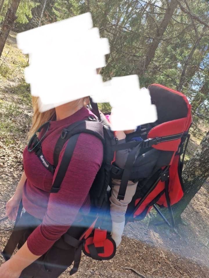Bergans bæremeis