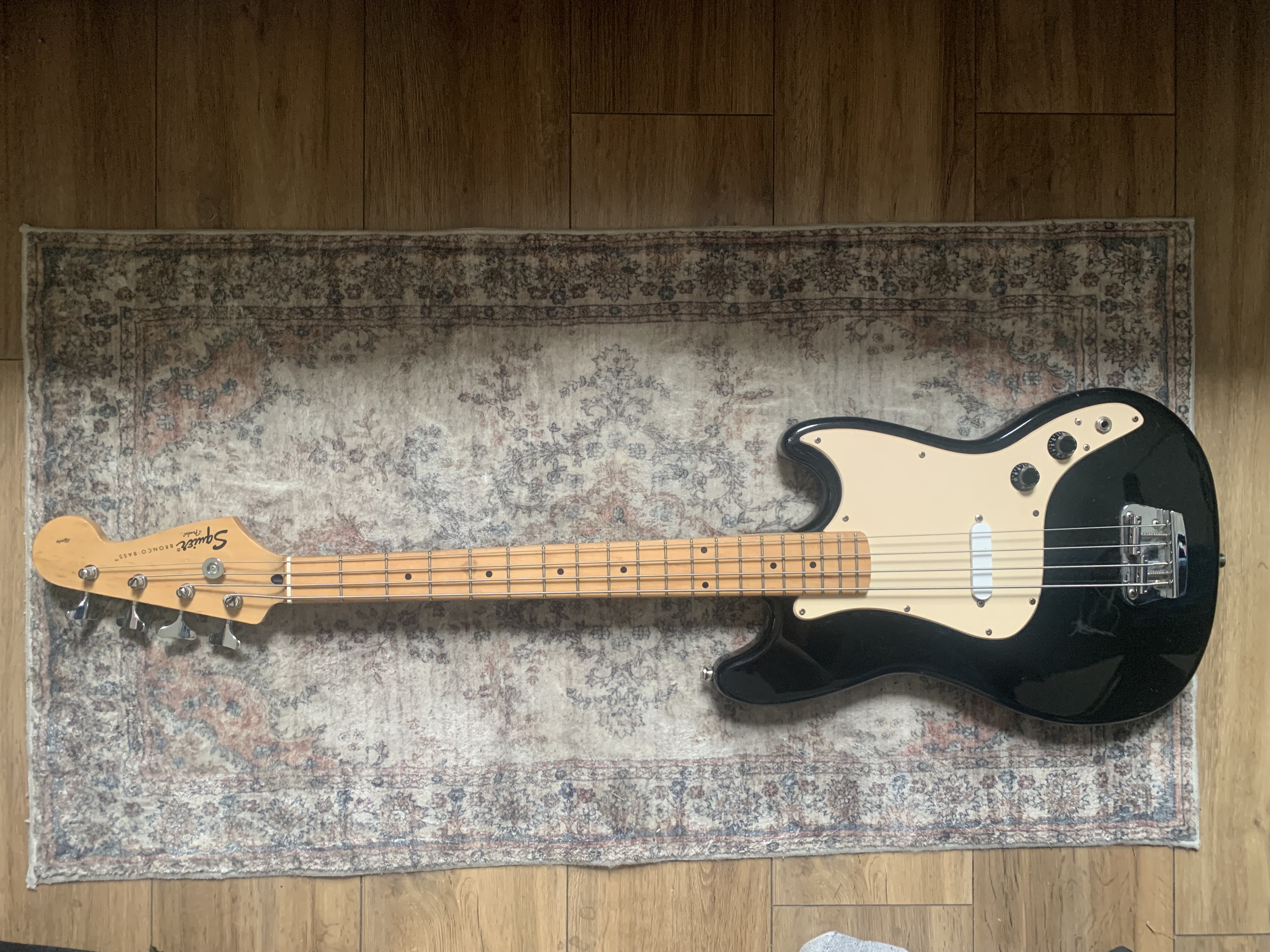 Bronco bass 