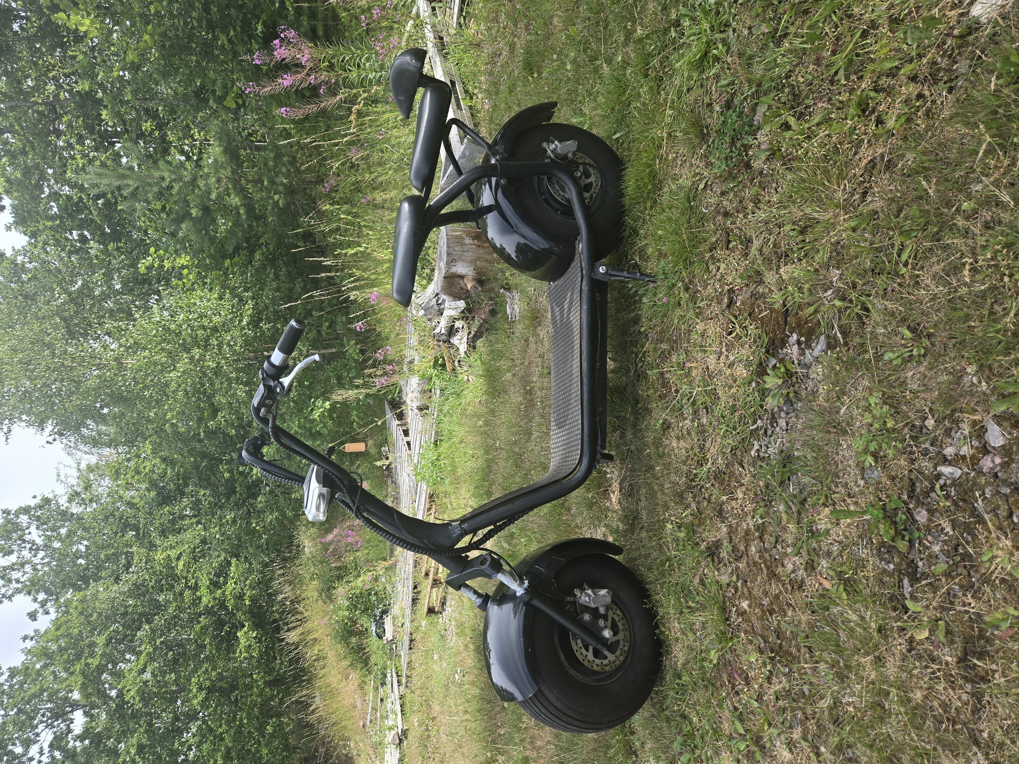 Fat bike