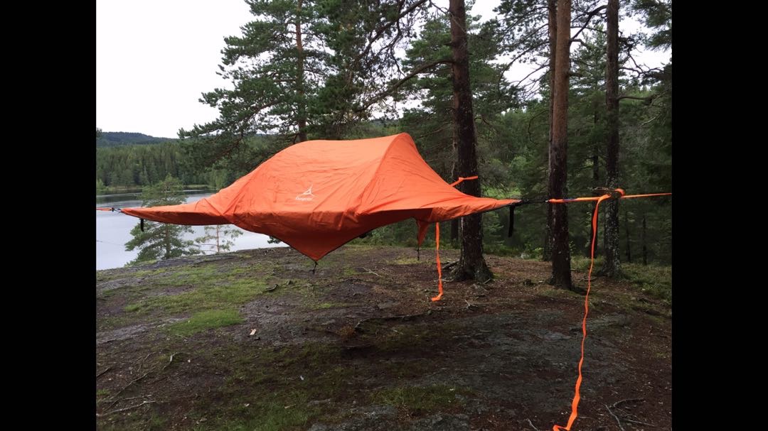 Tentsile stingray tretelt