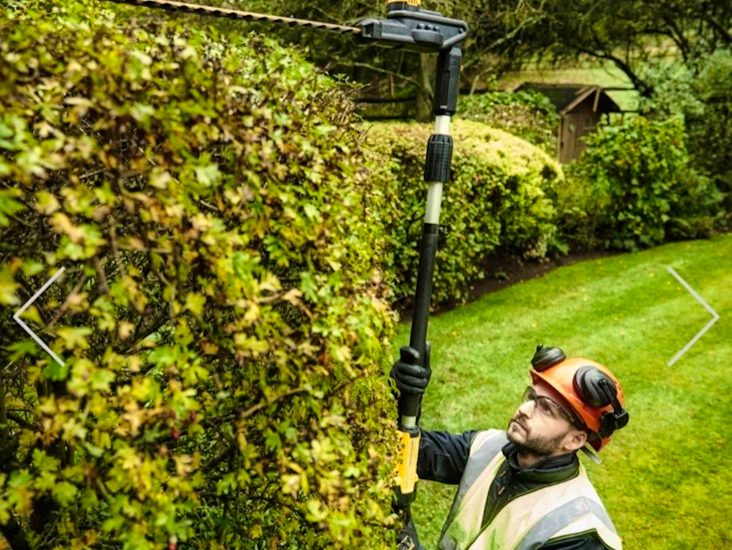 Dewalt batteridriven häcksax