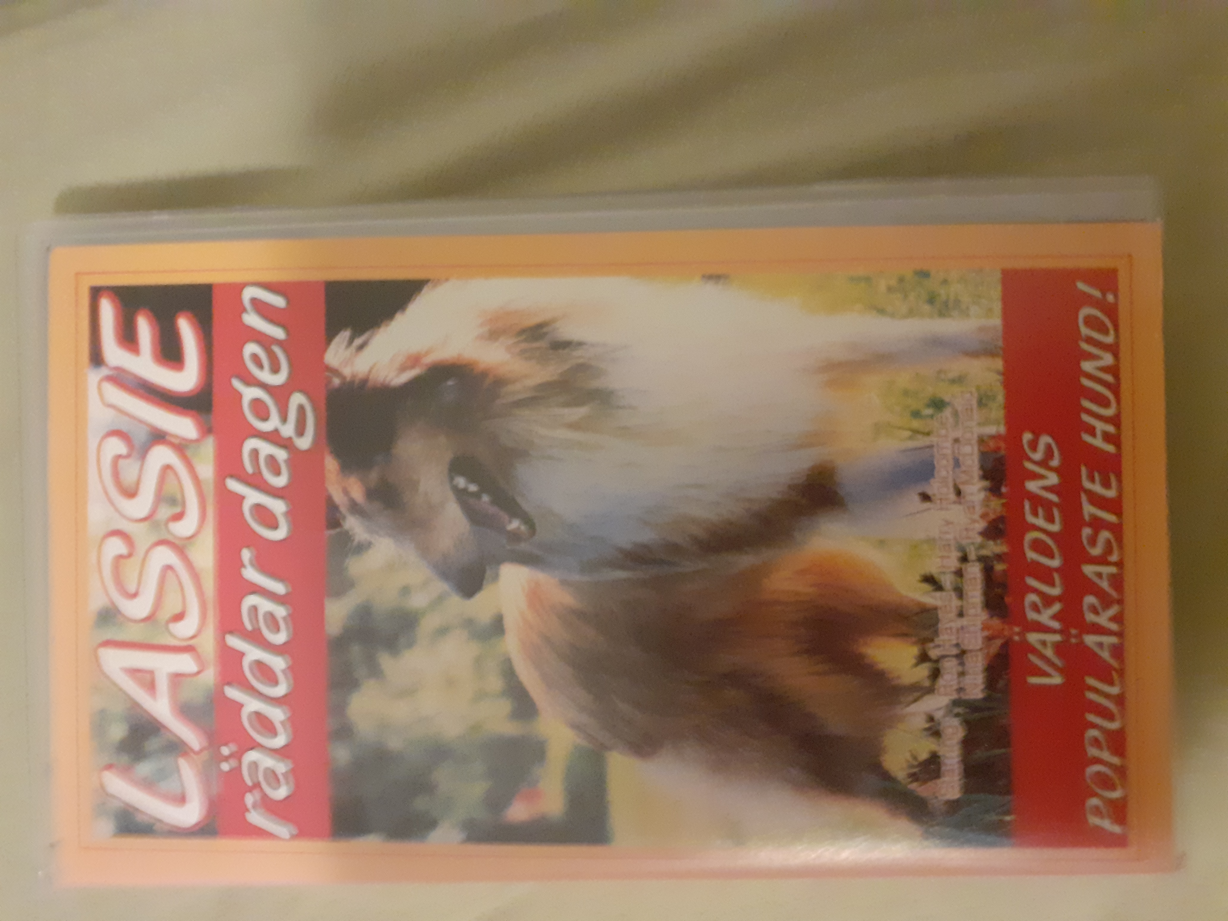 Lassie räddar dagen