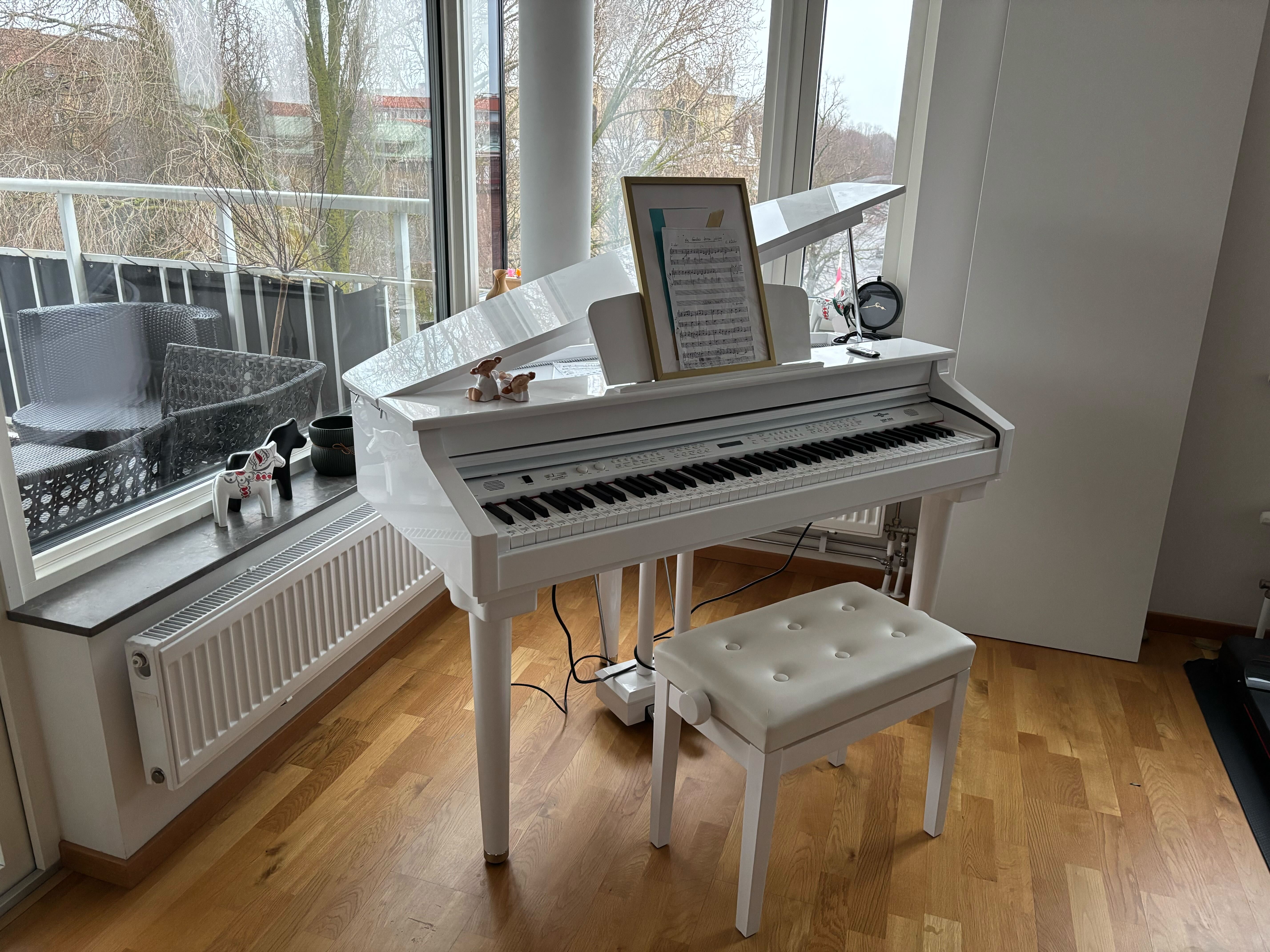 Digital flygel att hyra i malmö!