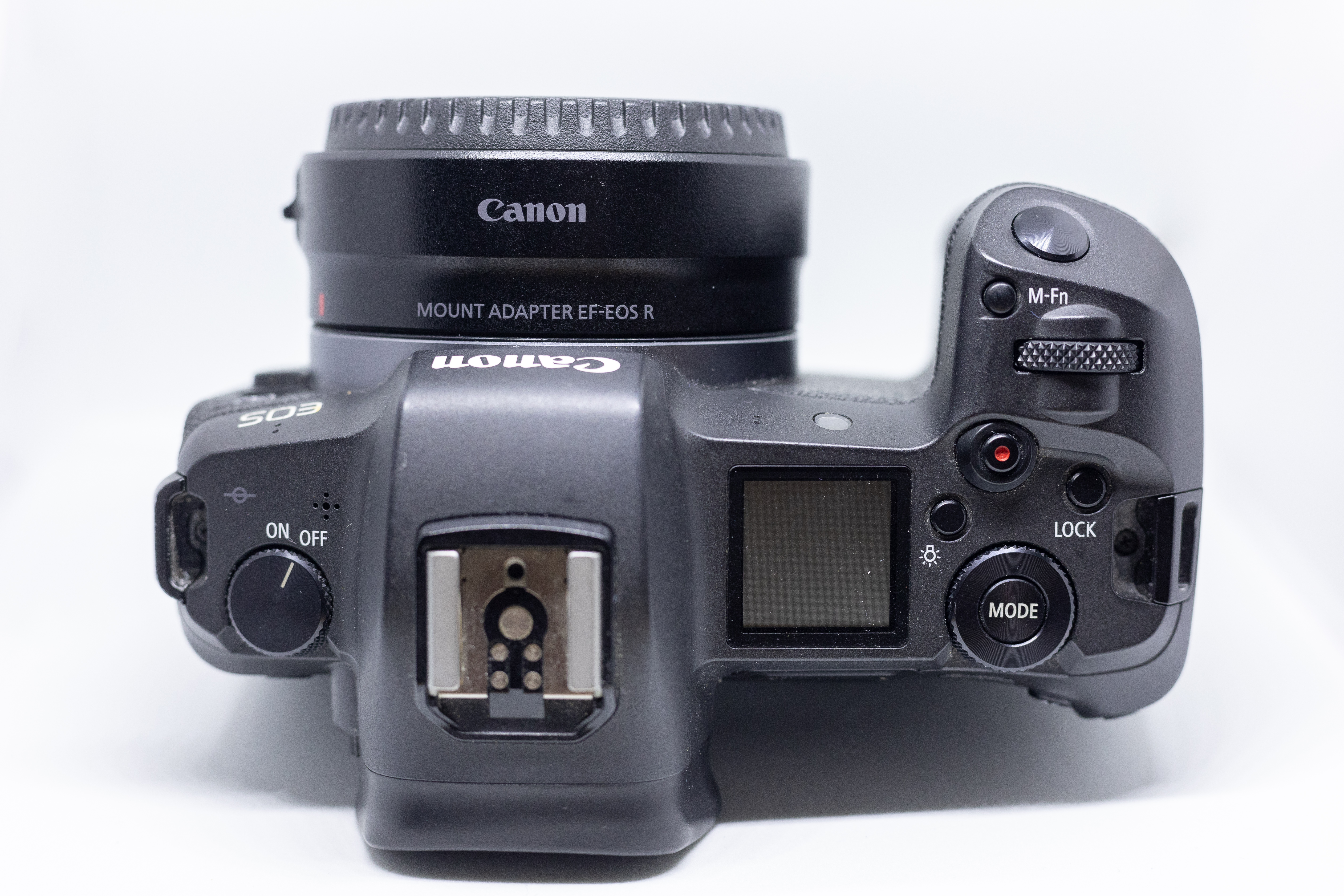 Canon eos r with rf to ef adapter
