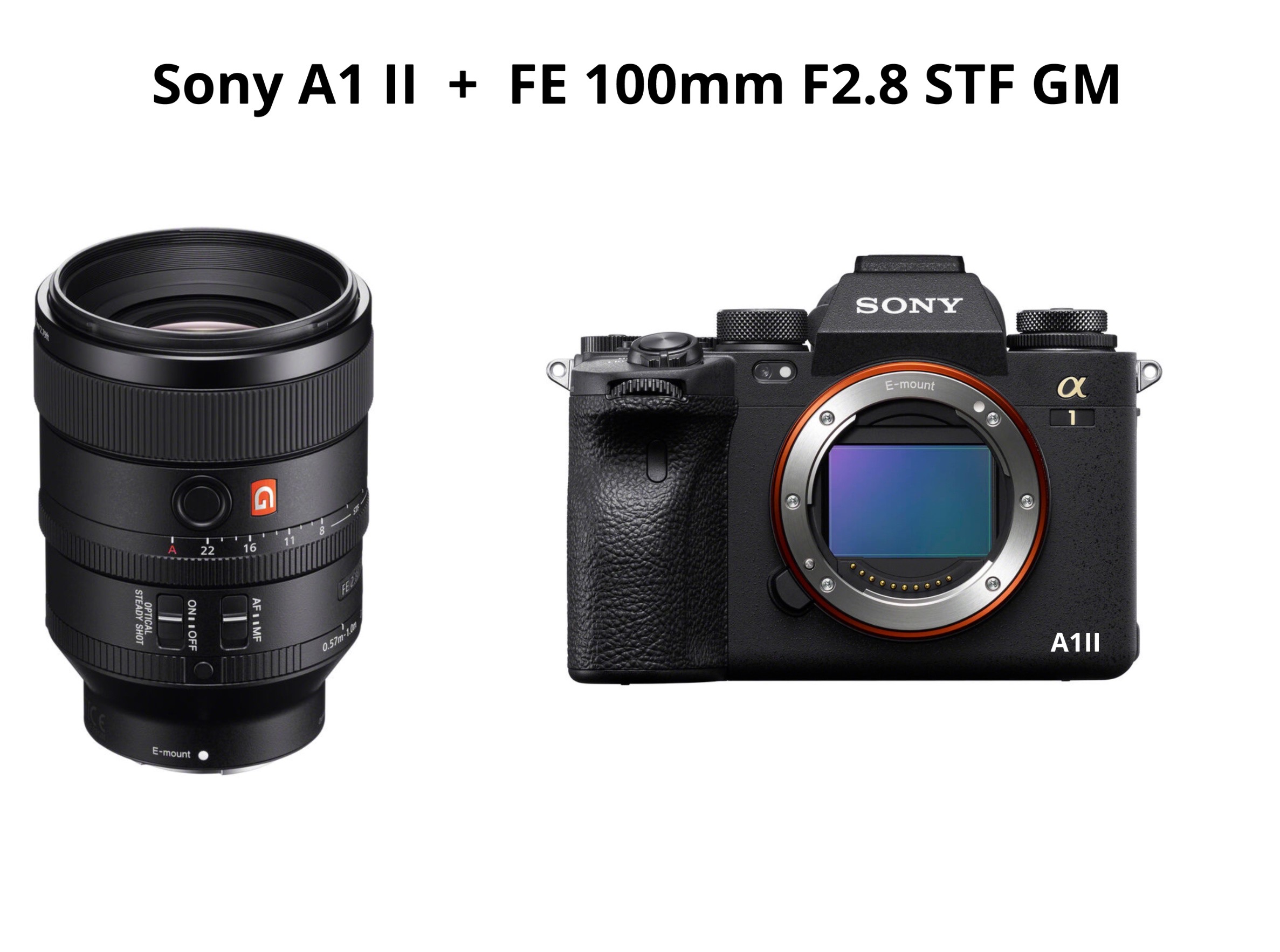 Sony a1 ii + fe 100mm f2.8 gm