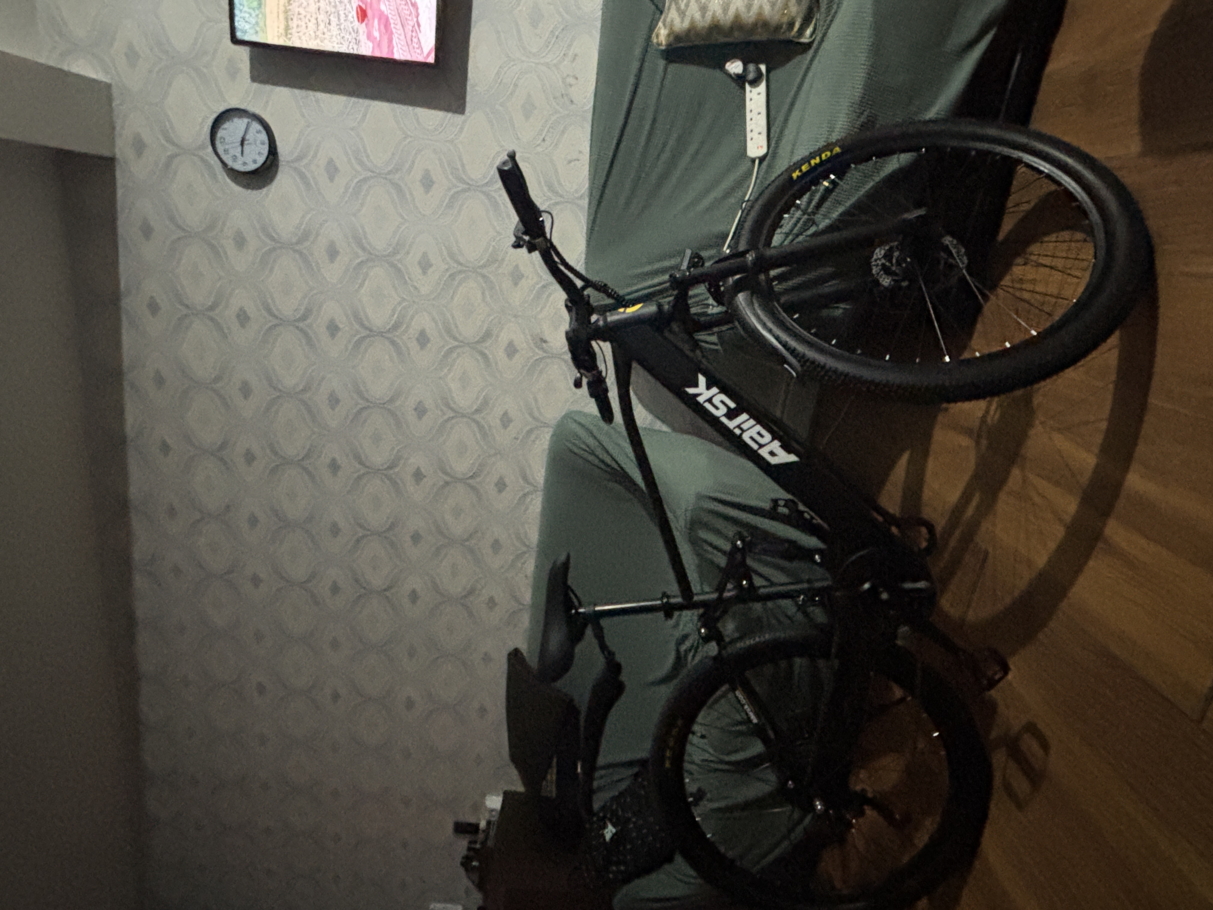 Electric bike 250w 36v 13ah ebike
