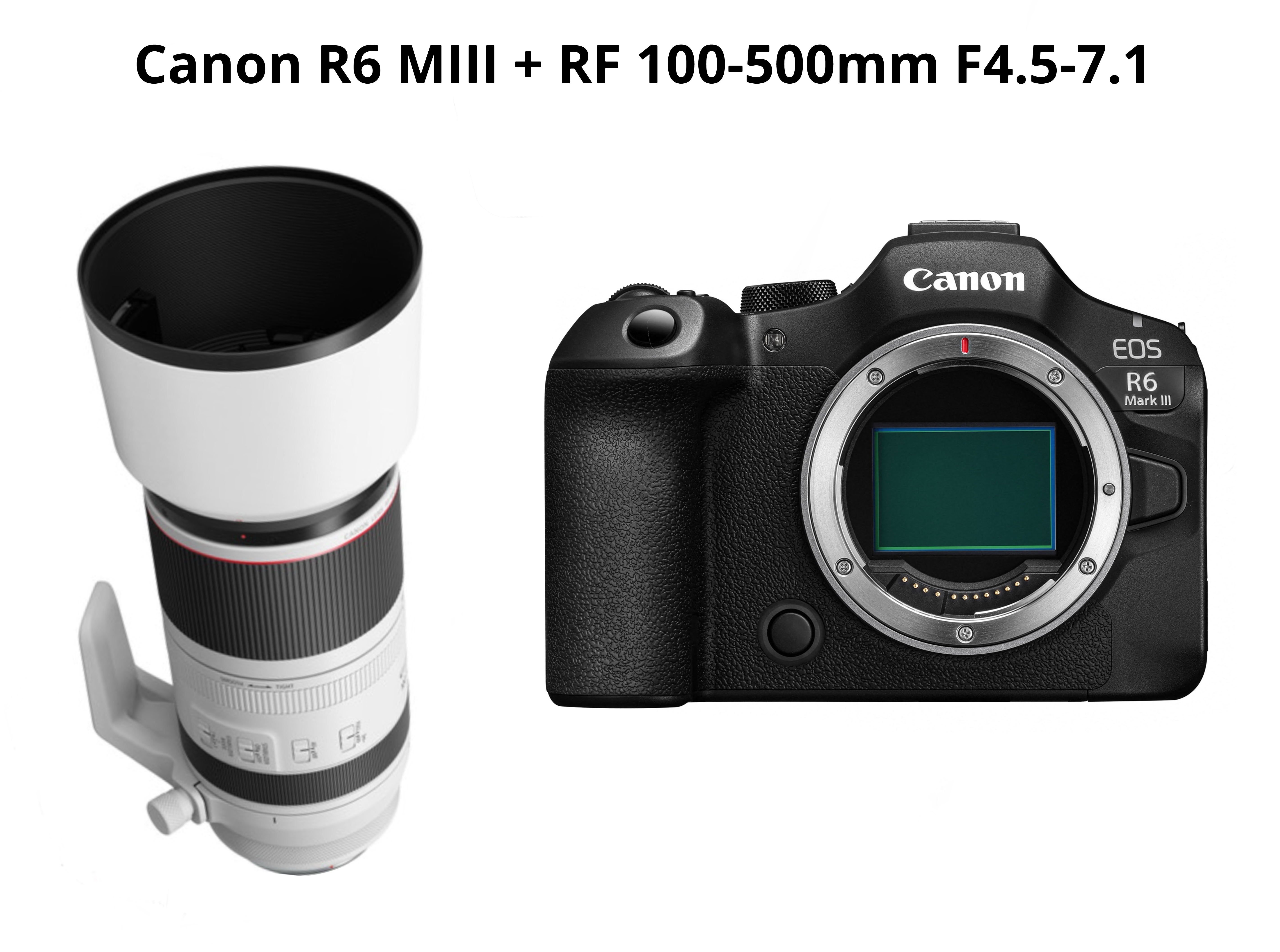 Canon r6 mark iii + rf 100-500mm f4.5-7.1 ( canon eos r6 mark iii - canon r6miii )