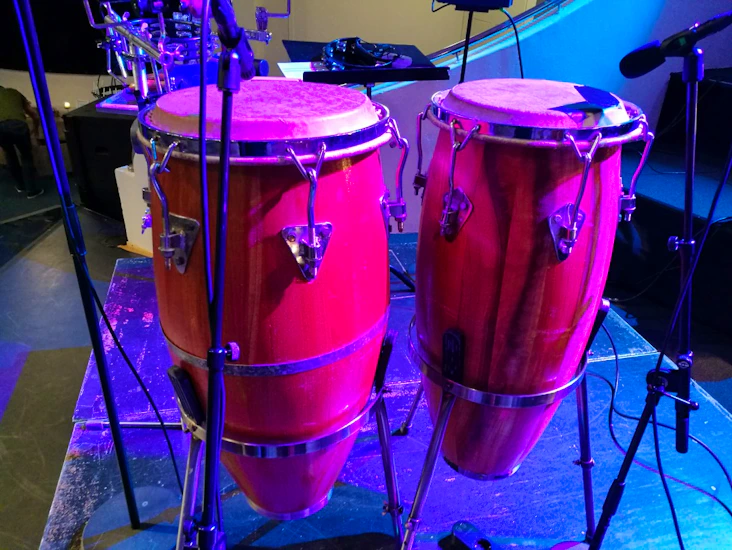 Cubanske congas med stativ og bagger