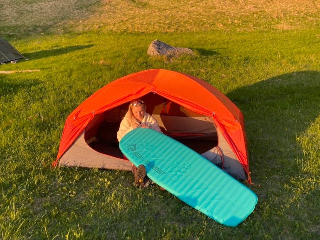 Marmot tomannstelt