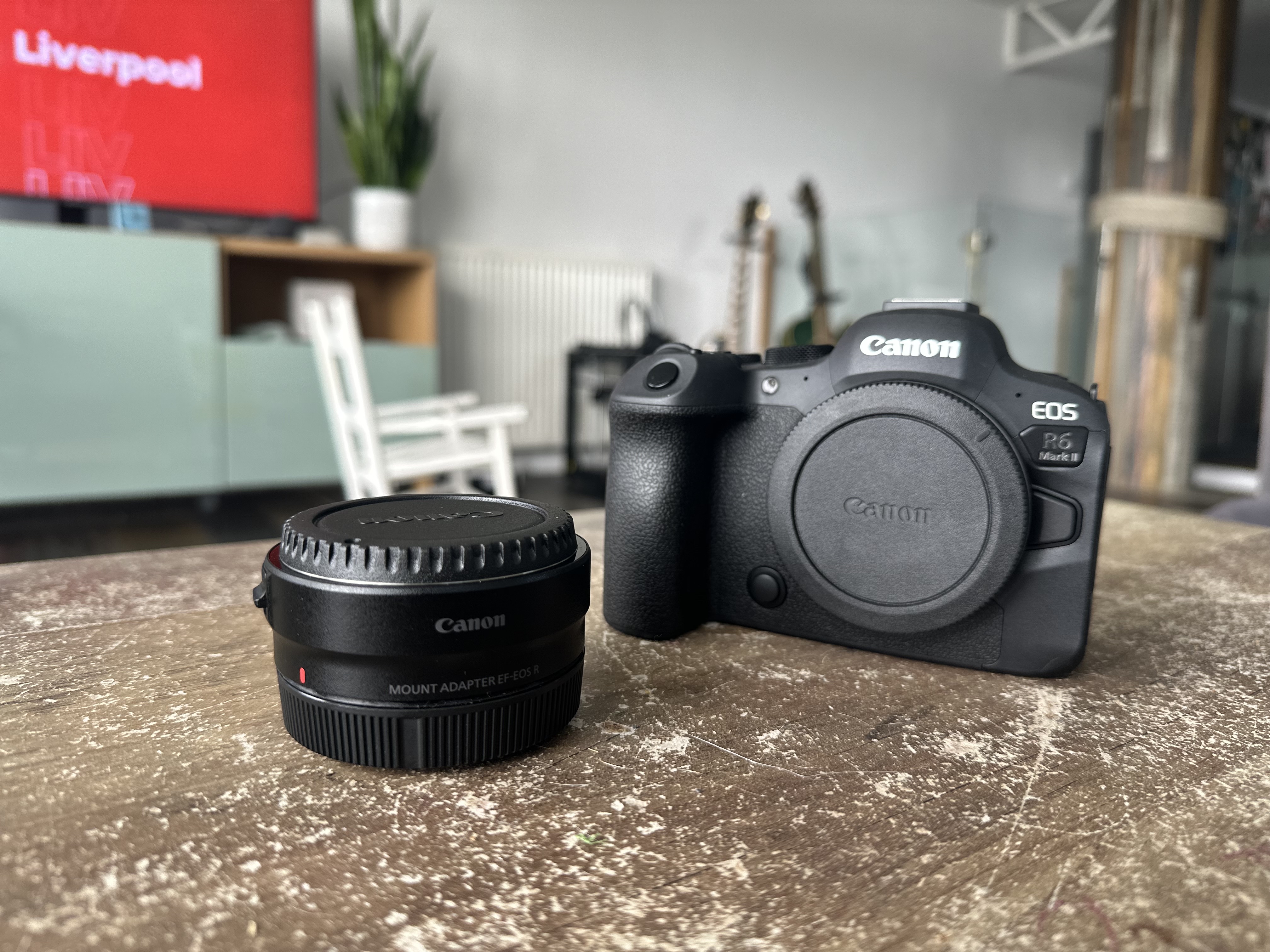 Canon r6 mark ii + canon mount adapter for ef lenses