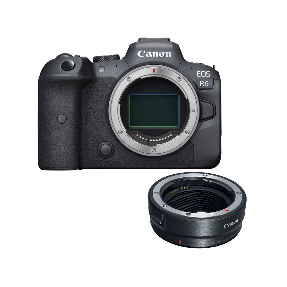 Canon r6 mirrorless pro camera + ef ring adapter
