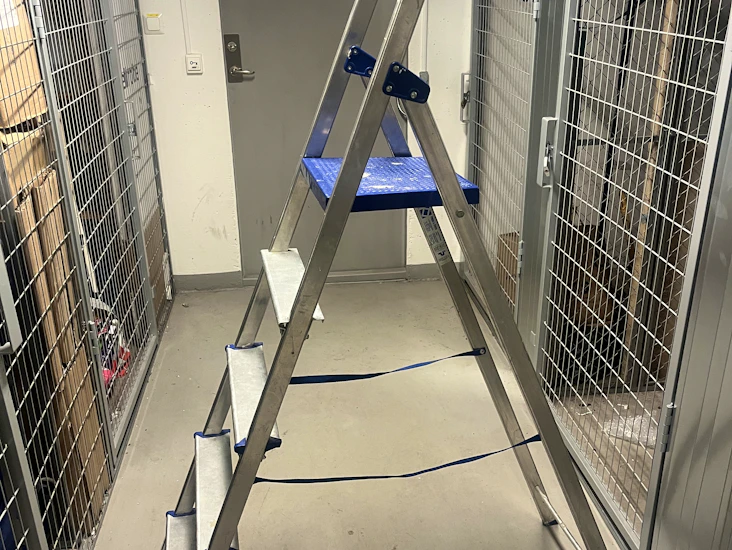 Trappstege - 5 steg - hyres