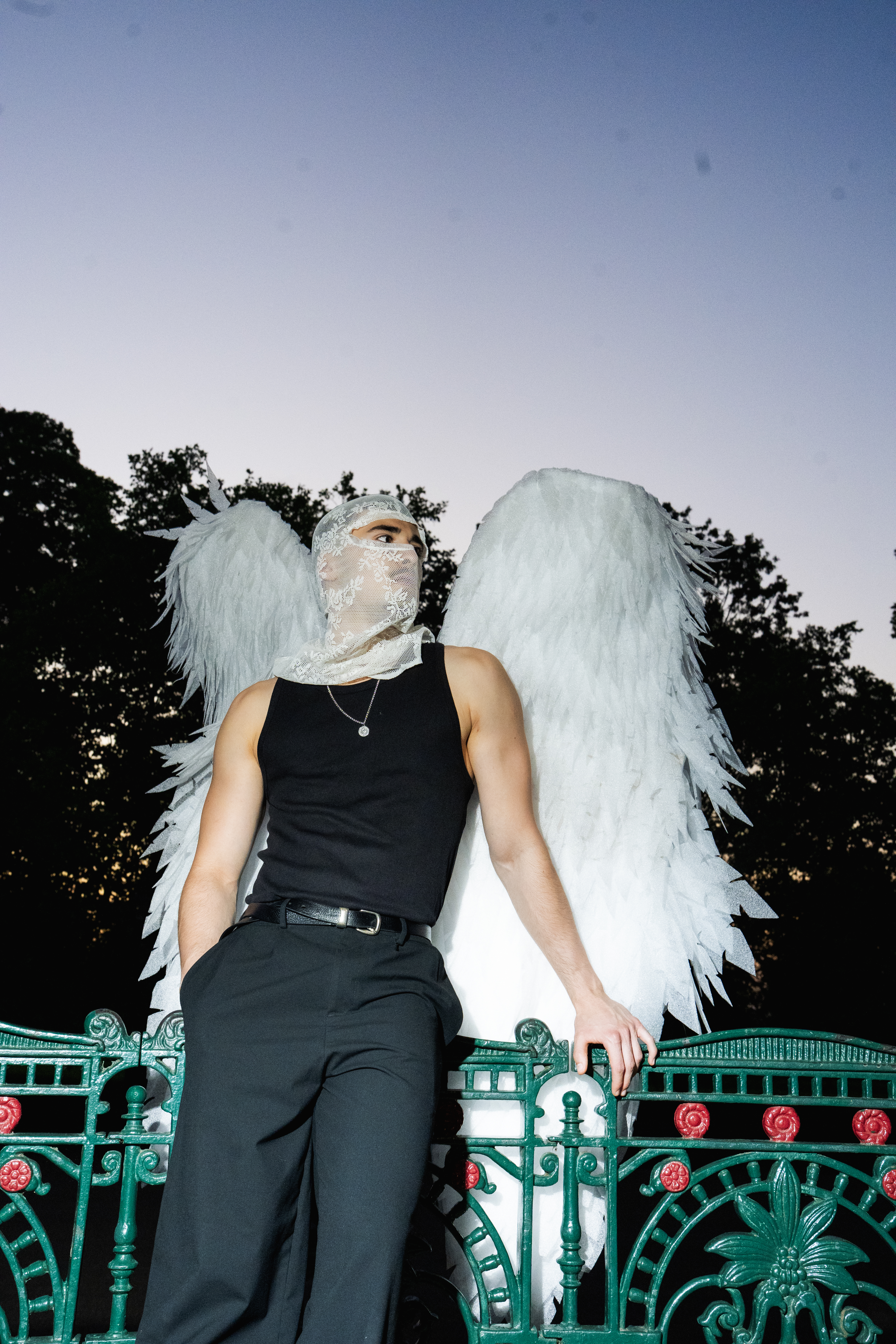 Angel wings