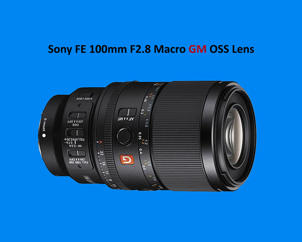 Sony fe 100mm f/2.8 gm oss macro lens