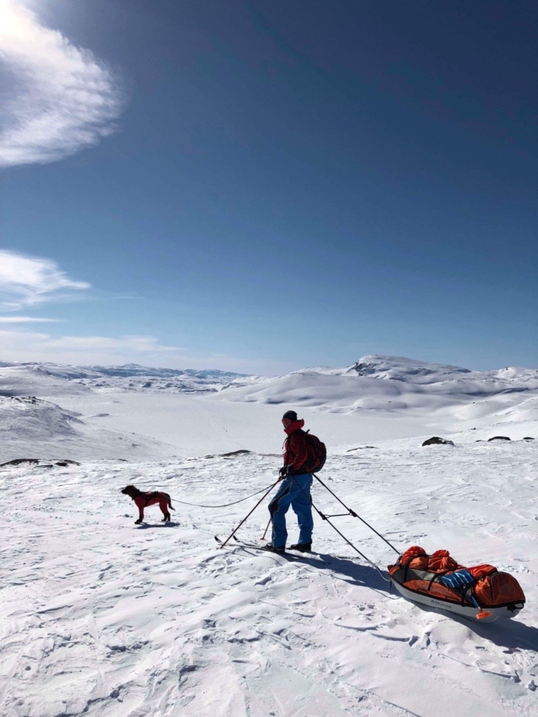 Fjellpulken orange 130cm