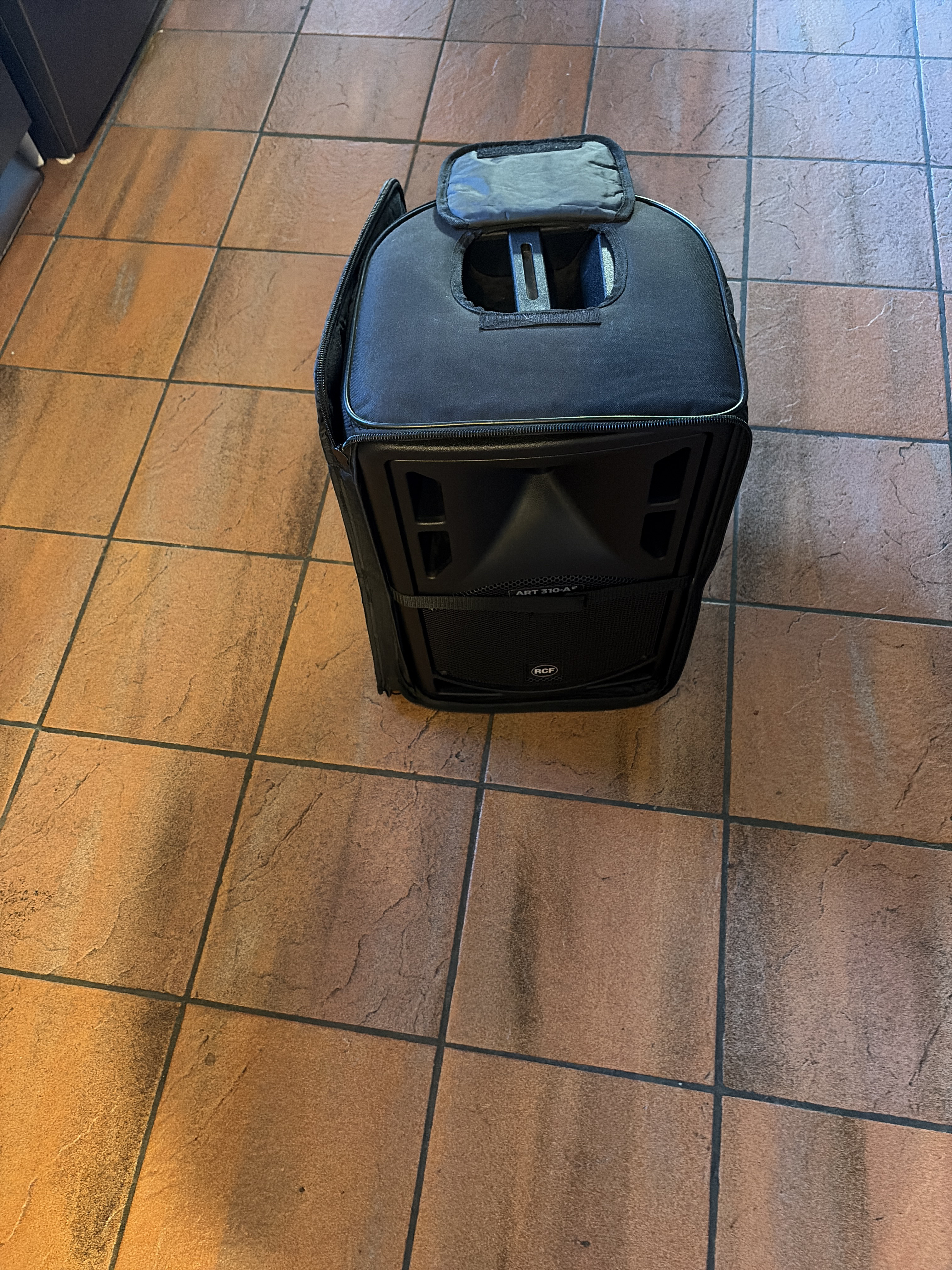 Rcf art 310-a speaker