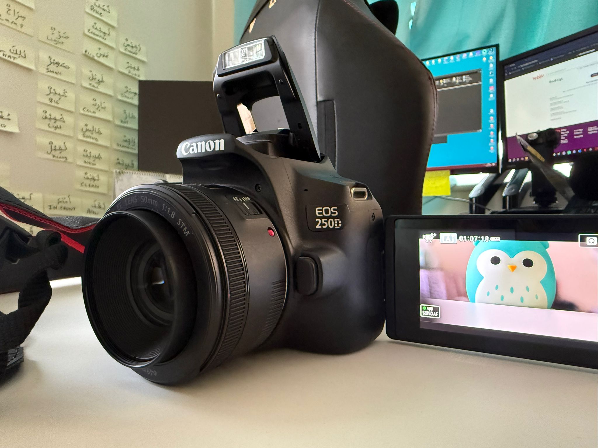 Canon eos 250d kit with ef 50mm f/1.8 stm lens perfect for photo and video shoots [london uk] base + battery + charge dock + 32 gb memory + side bag