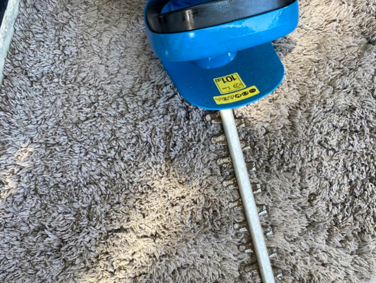 Elektronisk häcksax