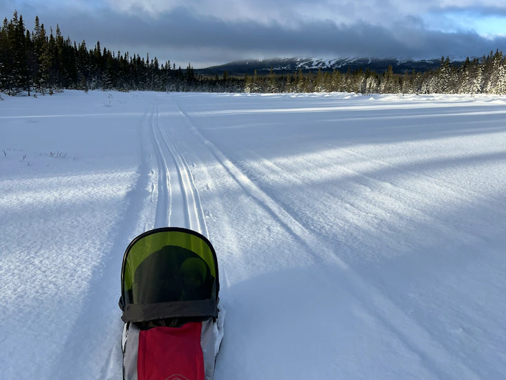 Fjellpulken barnepulk