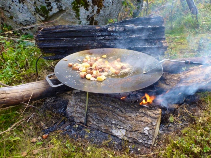 Muurikka, stekhäll, utekök