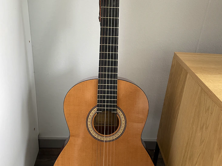 Gitarr nylonsträngad