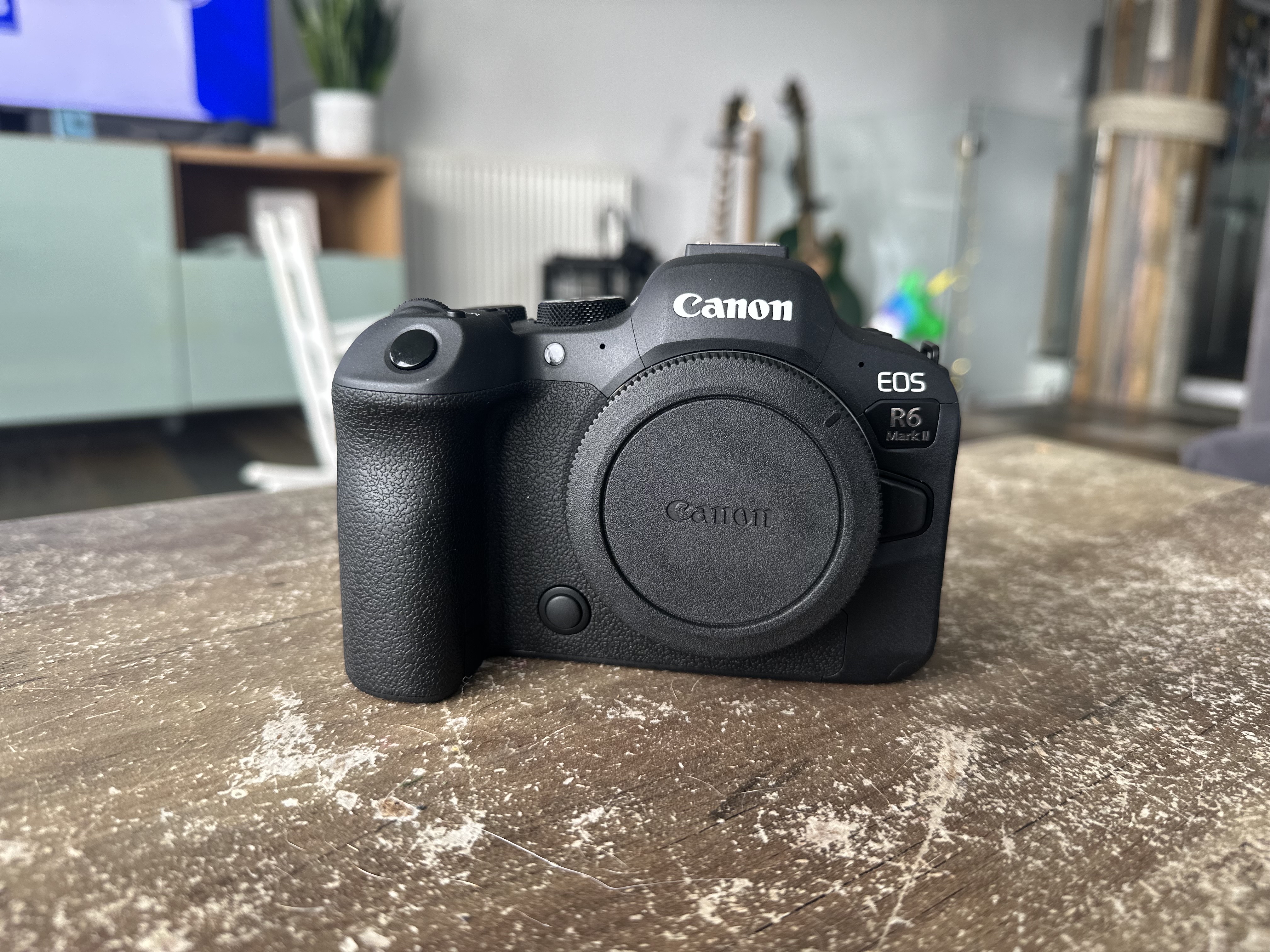 Canon r6 mark ii 