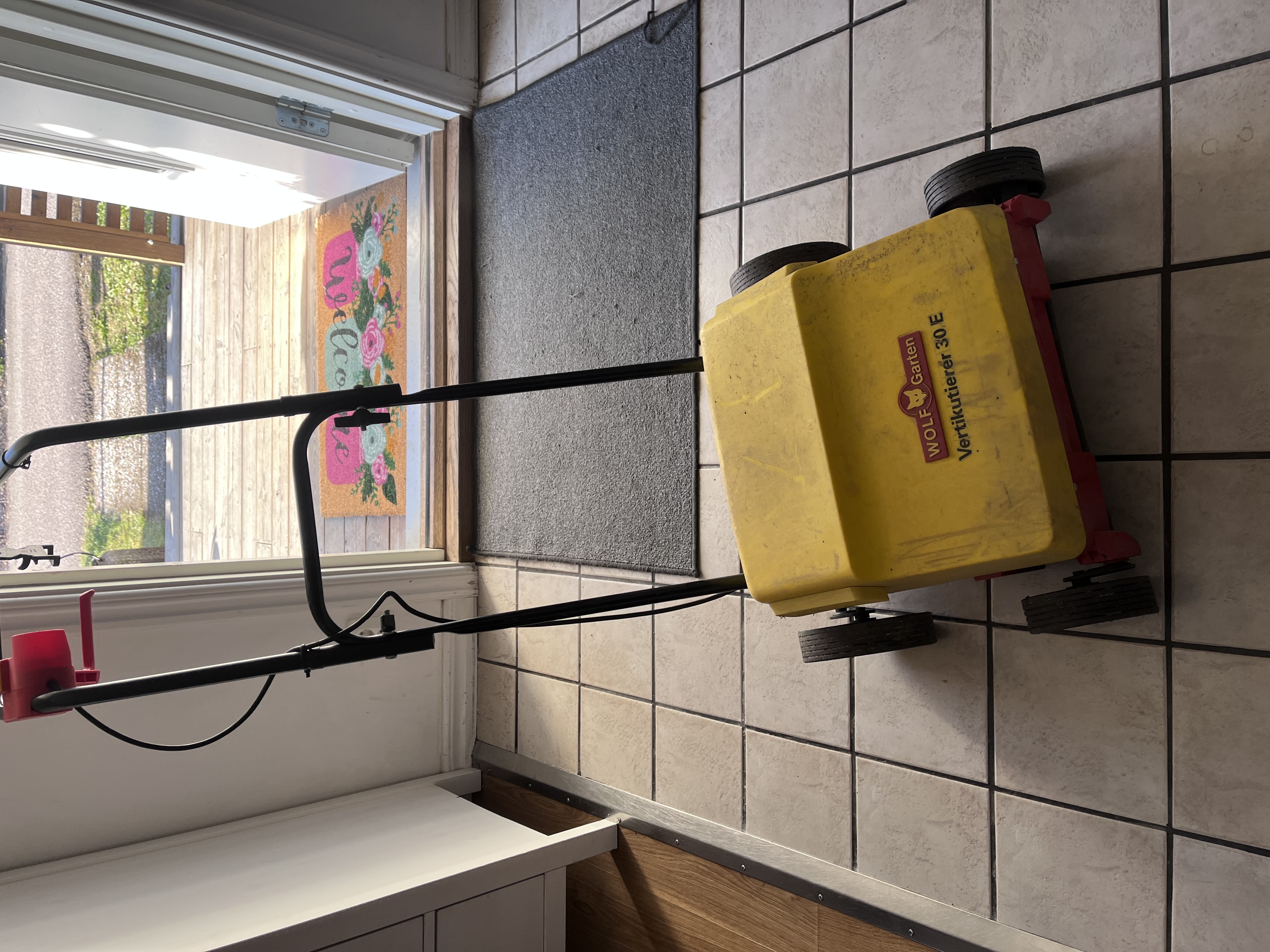 Elektrisk vertikalskärare/mossrivare